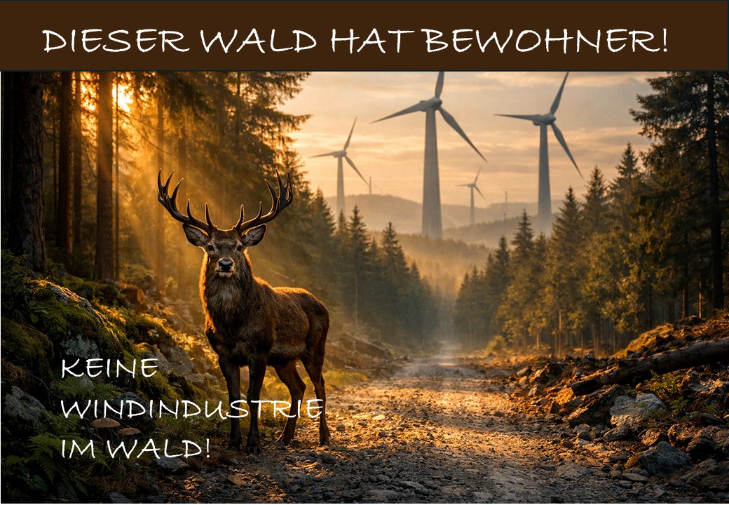 Dieser Wald hat Bewohner Hirsch braun