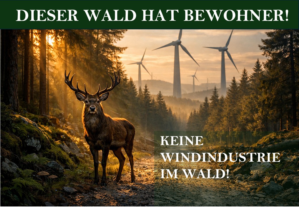 Dieser Wald hat Bewohner Hirsch grün